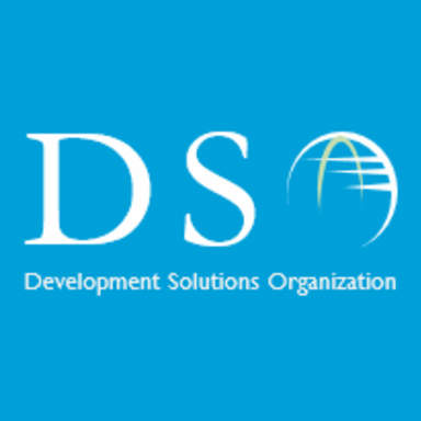 Development Solutions Organization